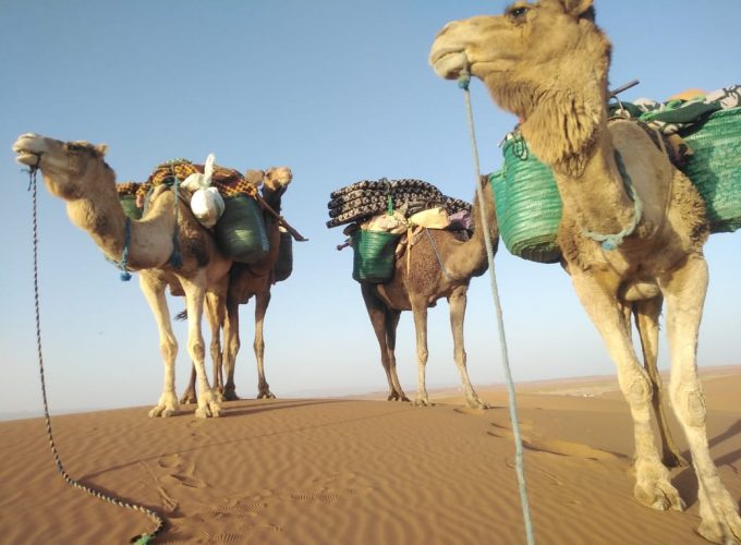 Yoga in The Desert of Morocco - Desert ViE Yoga in The Desert of Morocco - Desert ViE